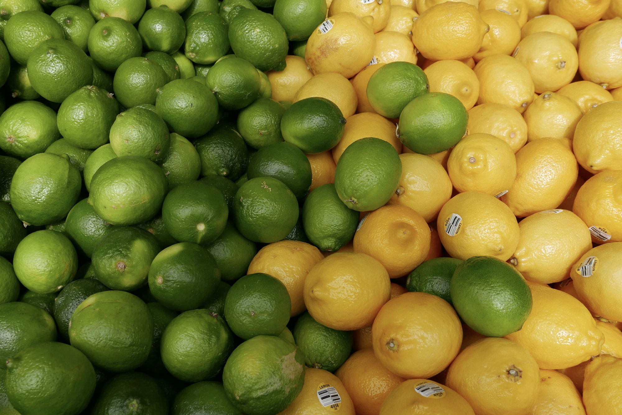 bunch-of-limes.jpg bunch of limes